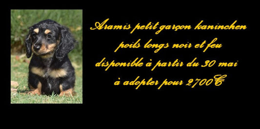 nos Bébés